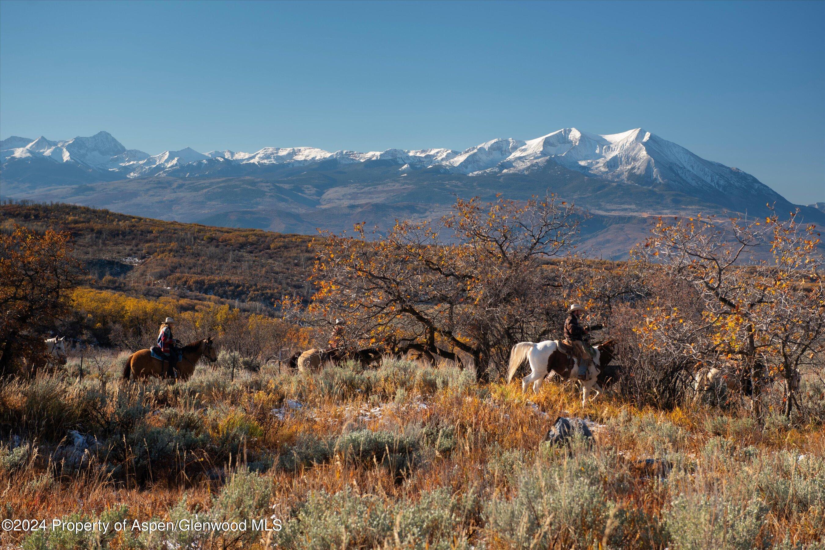 6800 Upper Cattle Creek Road Carbondale, CO 81623 - Photo 60 of 63 116-PET_0571 copy - Copy