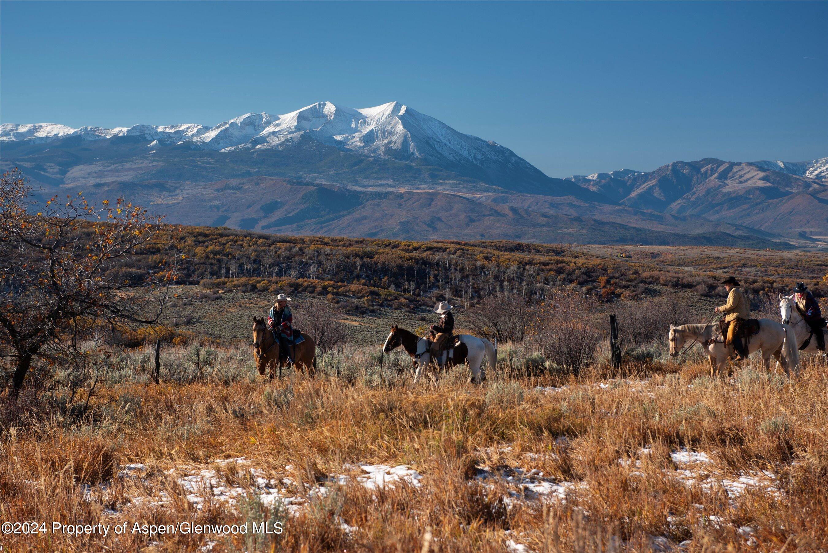 6800 Upper Cattle Creek Road Carbondale, CO 81623 - Photo 61 of 63 118-PET_0582 copy - Copy