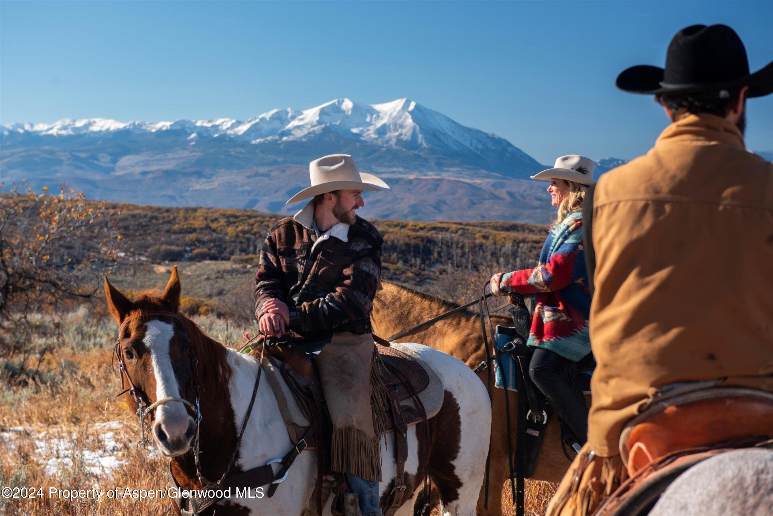 6800 Upper Cattle Creek Road Carbondale, CO 81623 - Photo 62 of 63 119-PET_0607 copy - Copy
