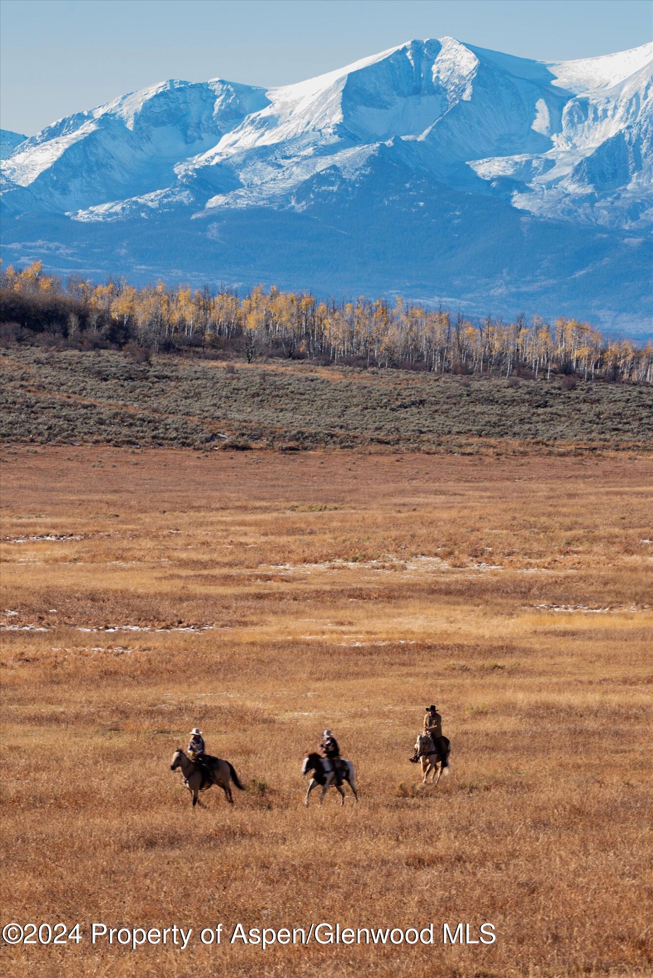 6800 Upper Cattle Creek Road Carbondale, CO 81623 - Photo 63 of 63 122-PET_0662 copy