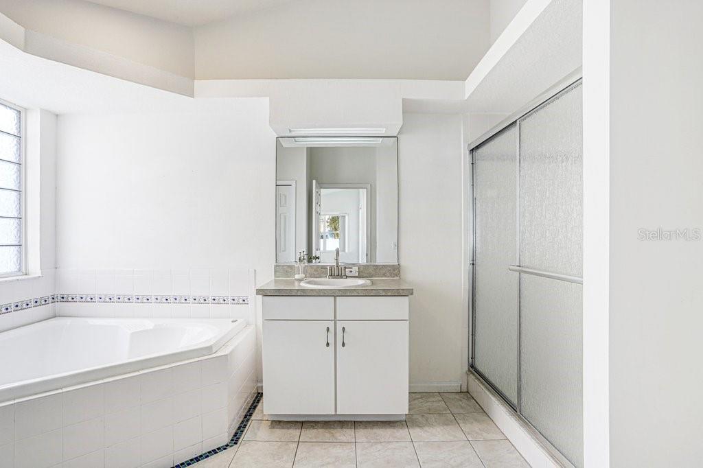 2412 Durant Road Valrico, FL 33594 - Photo 15 of 26 a bathroom with a bathtub and a sink