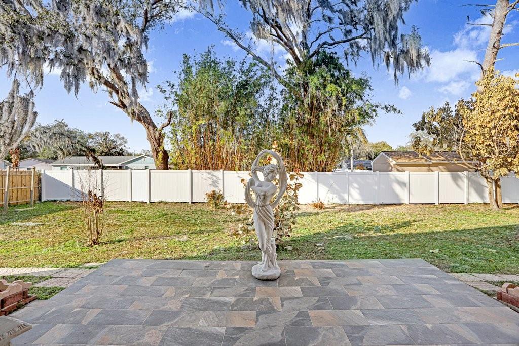 2412 Durant Road Valrico, FL 33594 - Photo 21 of 26 a view of backyard with green space