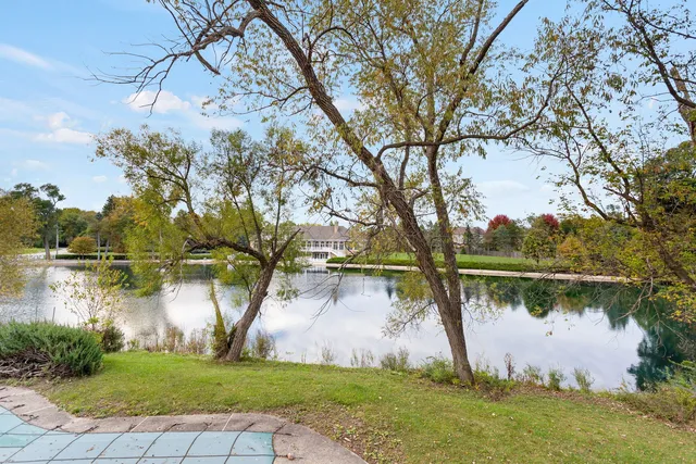 a body of water with a tree in the background