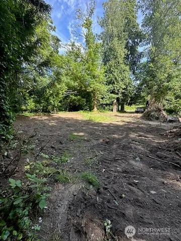 a view of a yard with a tree