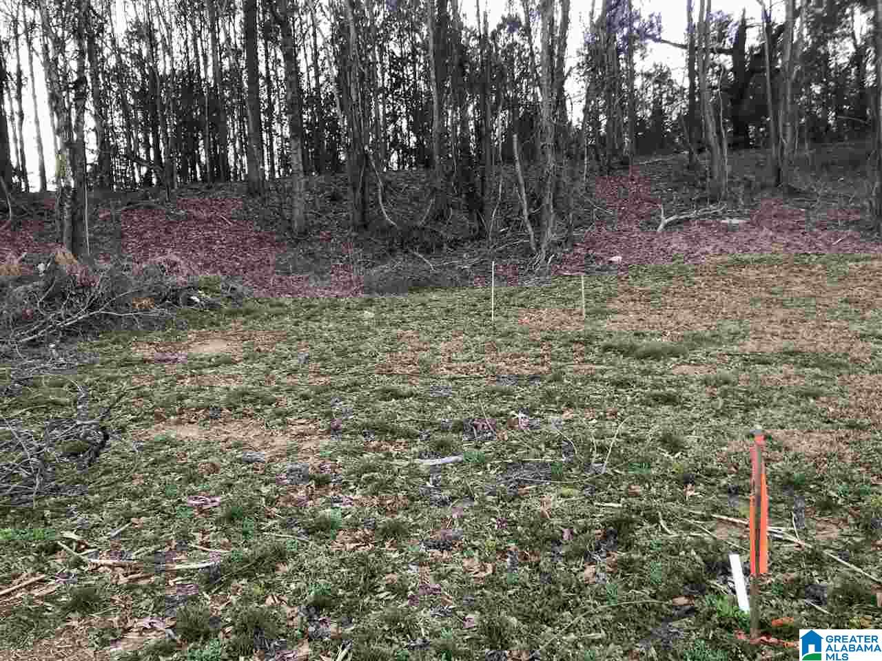 0 Hargrove Road East, Unit 1 Tuscaloosa, AL 35401 - Photo 1 of 2