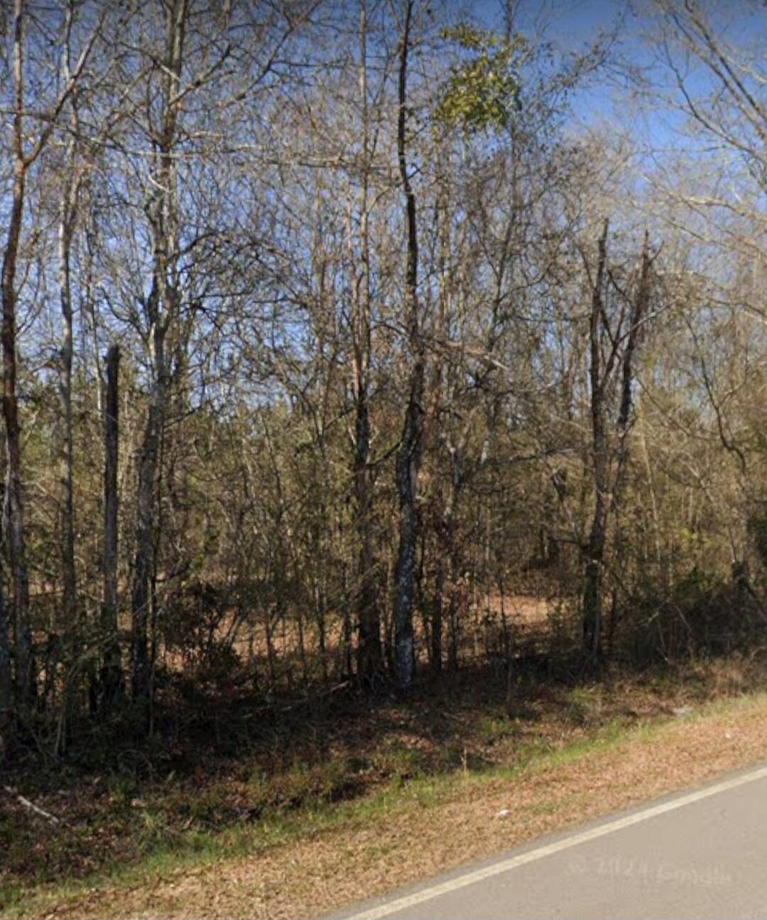 3191 Gene Howard Road Stapleton, GA 30823 - Photo 2 of 8 Front 2