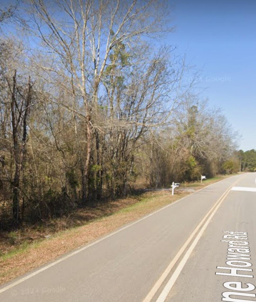 3191 Gene Howard Road Stapleton, GA 30823 - Photo 3 of 8 Frontage road
