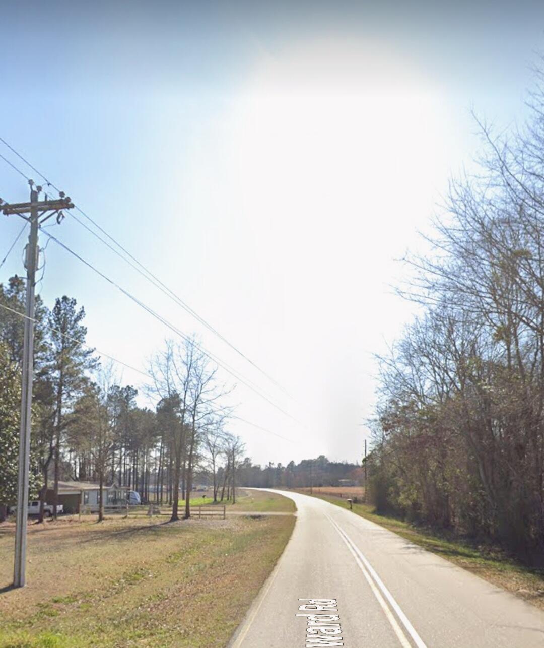 3191 Gene Howard Road Stapleton, GA 30823 - Photo 7 of 8 Frontage road 2
