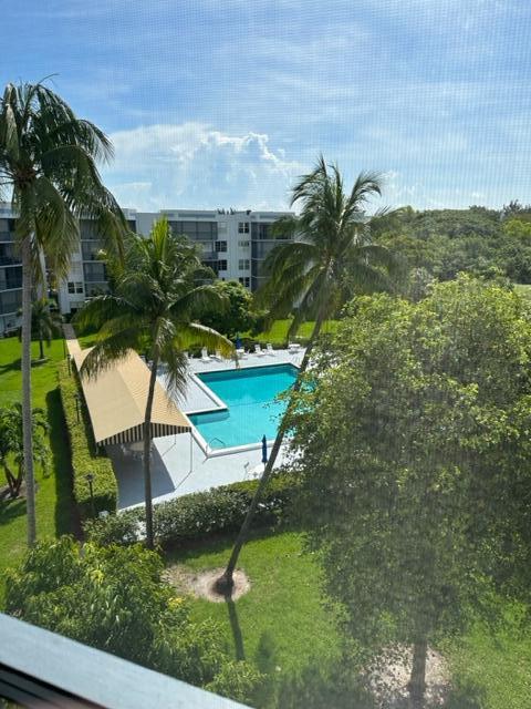 6500 Northwest 2nd Avenue, Unit 512 Boca Raton, FL 33487 - Photo 38 of 41 a view of a yard with plants
