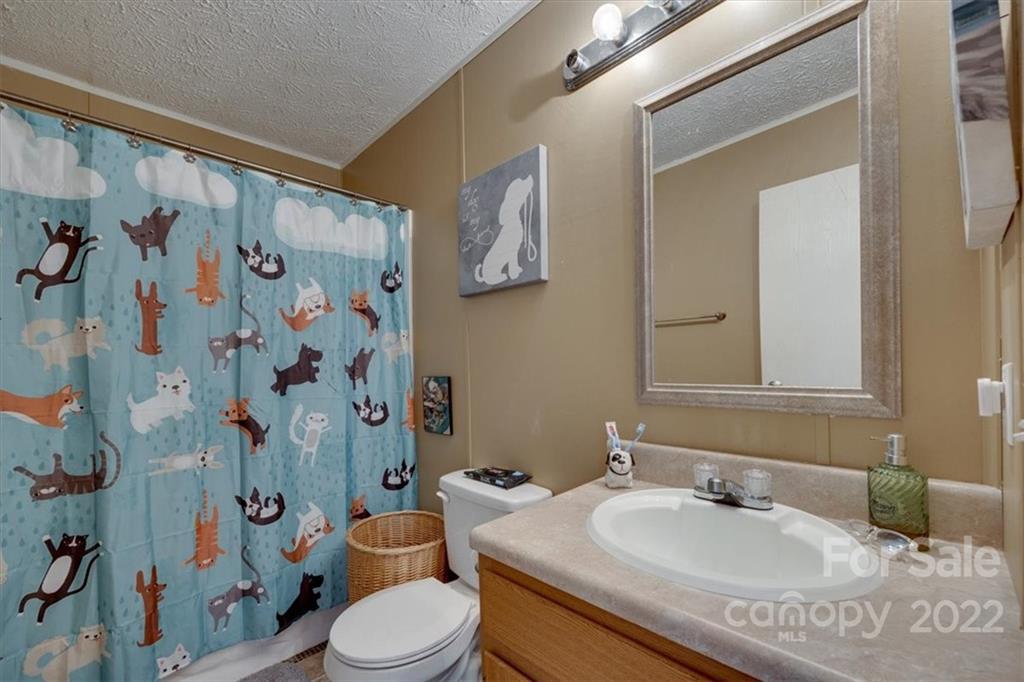 2444 Campbell Lake Road Lancaster, SC 29720 - Photo 21 of 24 a bathroom with a sink toilet and shower