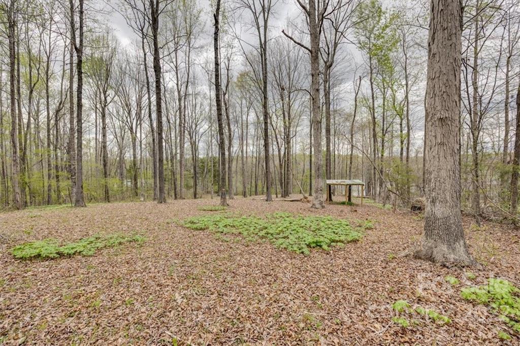 2444 Campbell Lake Road Lancaster, SC 29720 - Photo 22 of 24 a house with lots of trees in the background