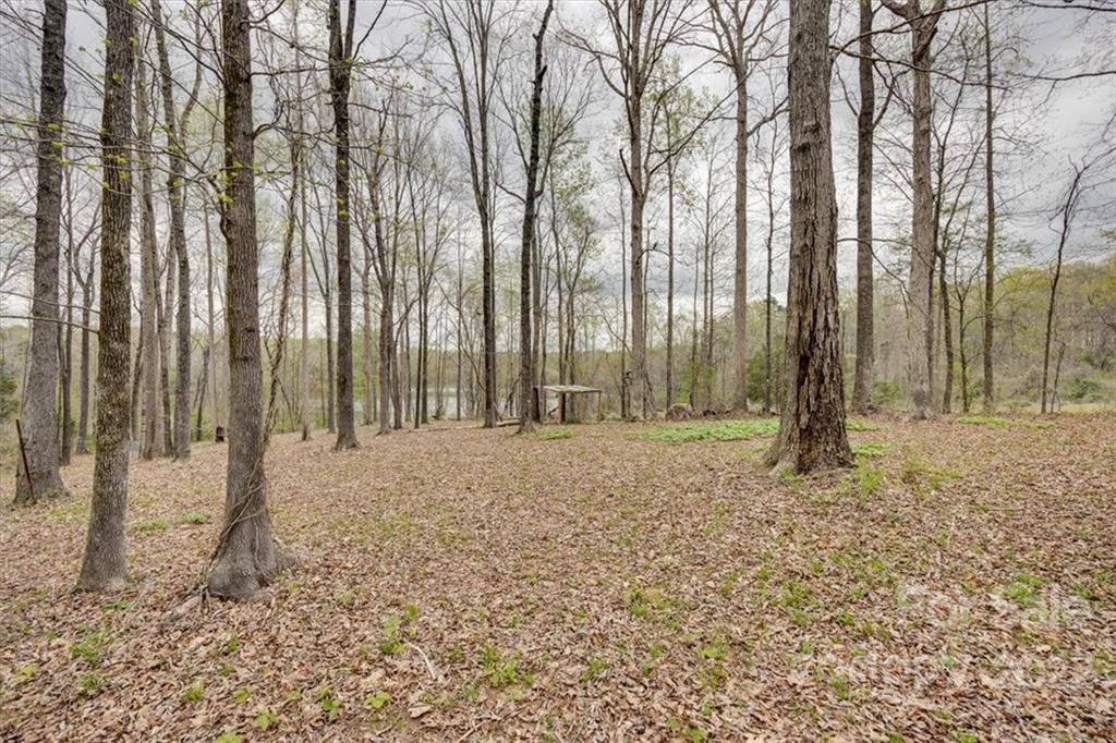 2444 Campbell Lake Road Lancaster, SC 29720 - Photo 23 of 24 a backyard of apartments with large trees