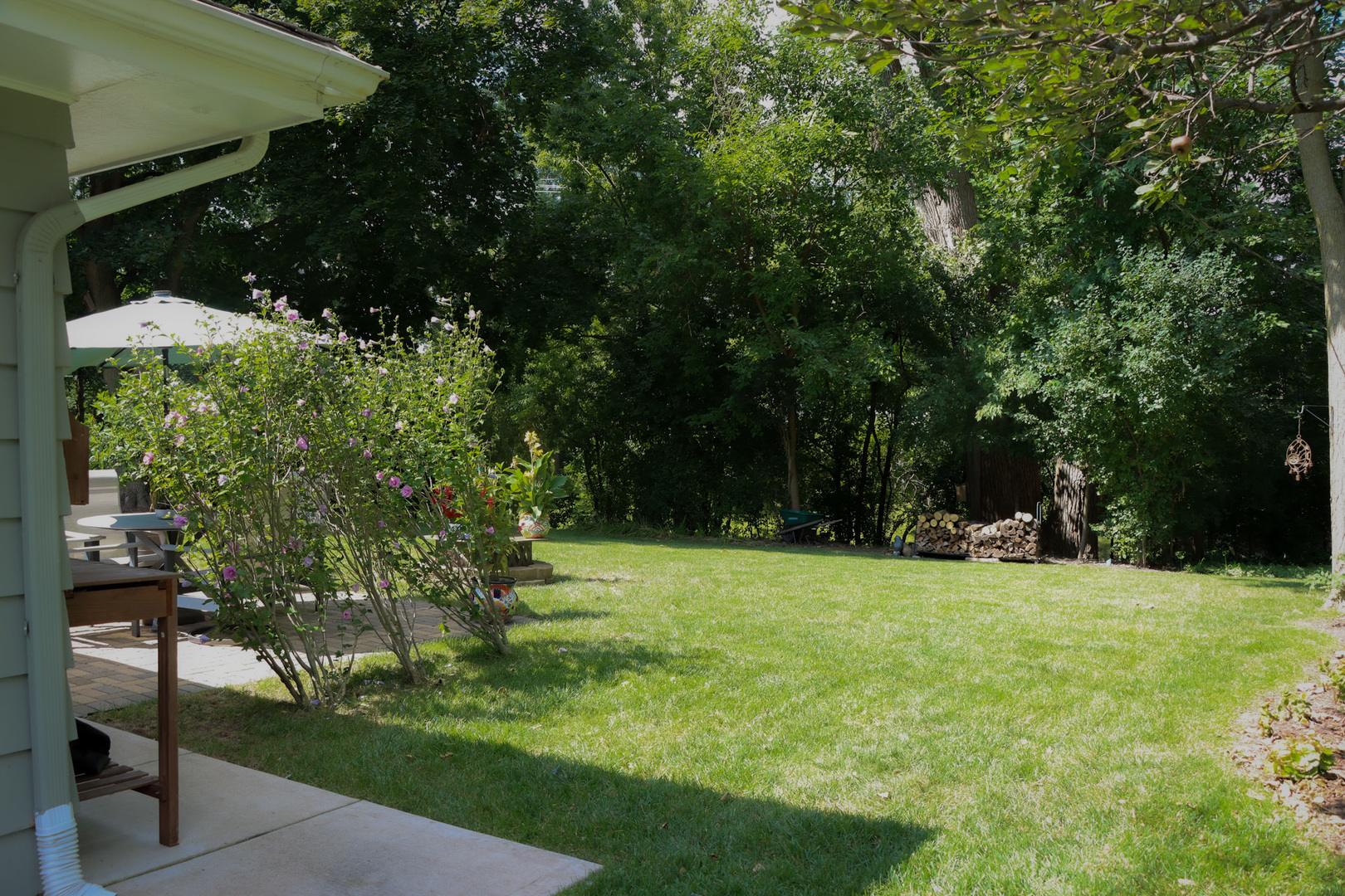 1920 North Washington Street Wheaton, IL 60187 - Photo 41 of 76 a view of a tree in a yard