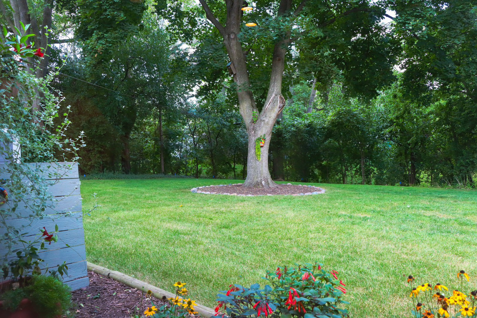 1920 North Washington Street Wheaton, IL 60187 - Photo 49 of 76 a view of a garden with a fountain