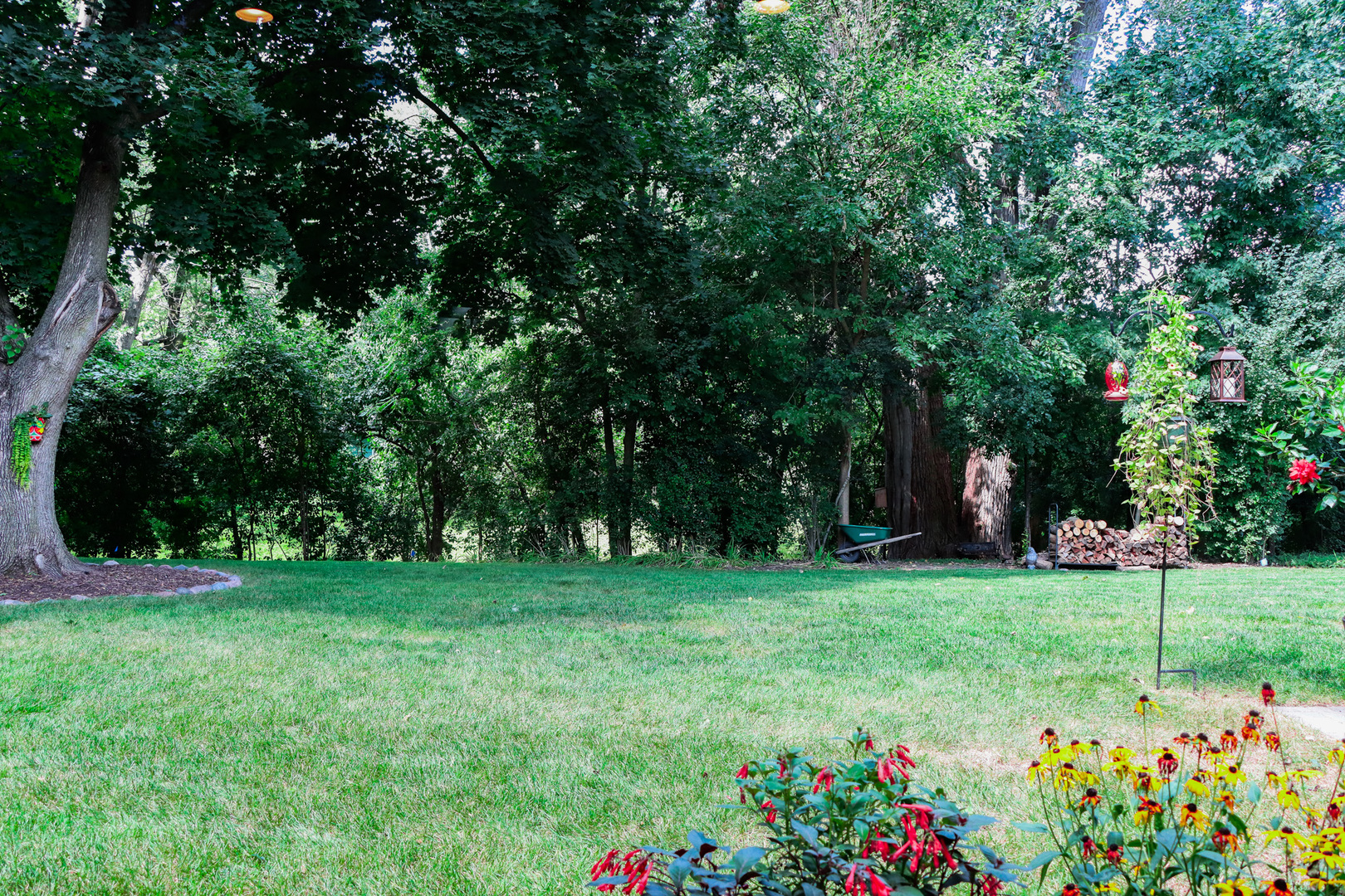 1920 North Washington Street Wheaton, IL 60187 - Photo 52 of 76 a view of a garden with flowers and trees
