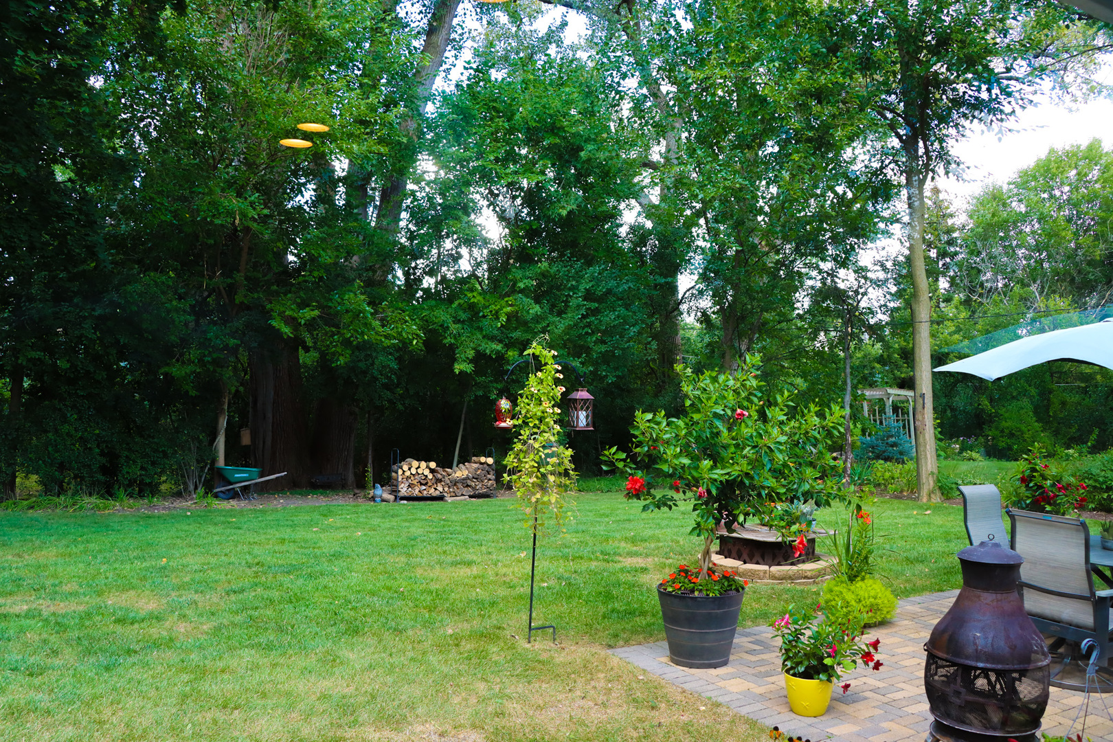 1920 North Washington Street Wheaton, IL 60187 - Photo 53 of 76 a view of a garden with plants and a fountain
