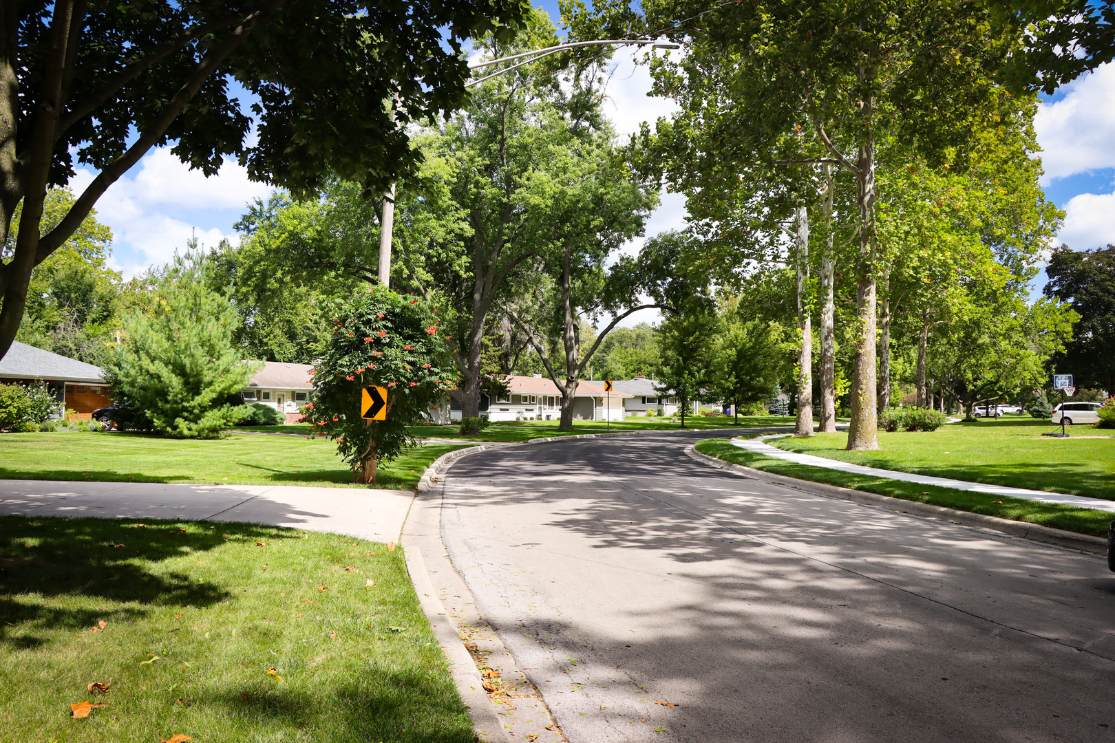 1920 North Washington Street Wheaton, IL 60187 - Photo 75 of 76 a view of a park with tree s