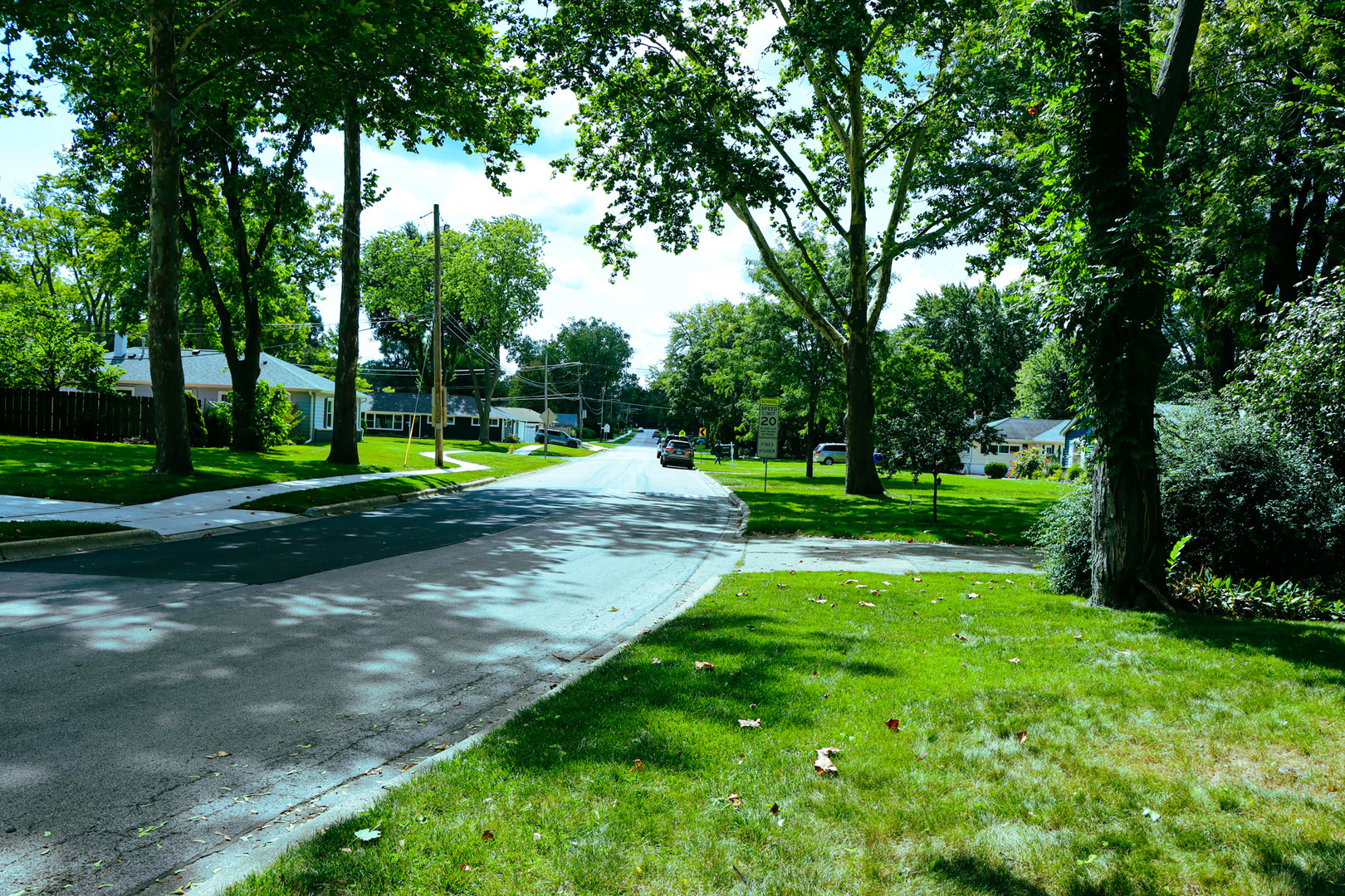 1920 North Washington Street Wheaton, IL 60187 - Photo 76 of 76 a view of a park with trees and grass