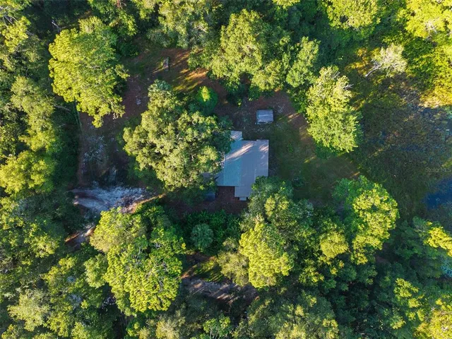 a picture of flowers