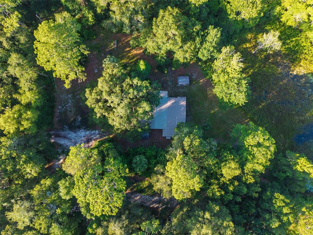 54544 Buckhorn Road Astor, FL 32102 - Photo 25 of 36 a view of a garden