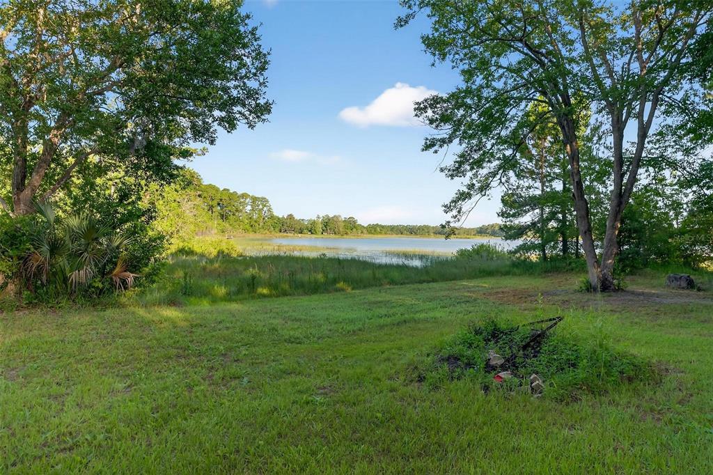 54544 Buckhorn Road Astor, FL 32102 - Photo 36 of 36 a view of a grassy field with trees