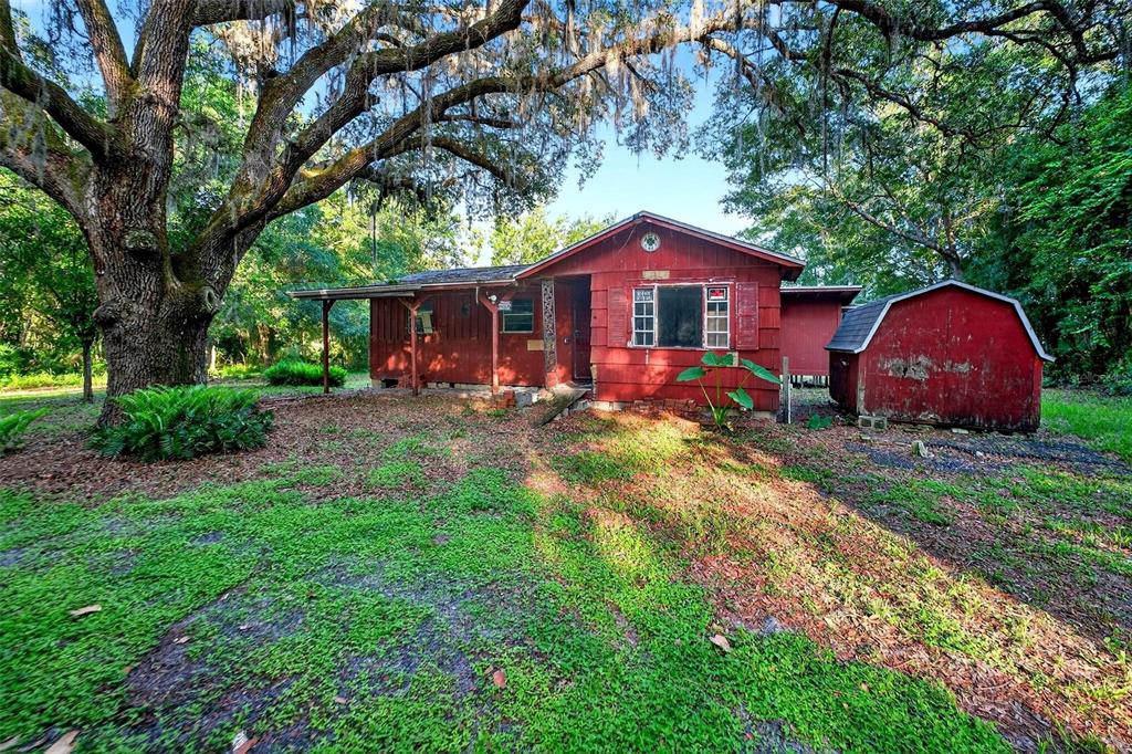 54544 Buckhorn Road Astor, FL 32102 - Photo 4 of 36 a view of a yard with large trees and a barn