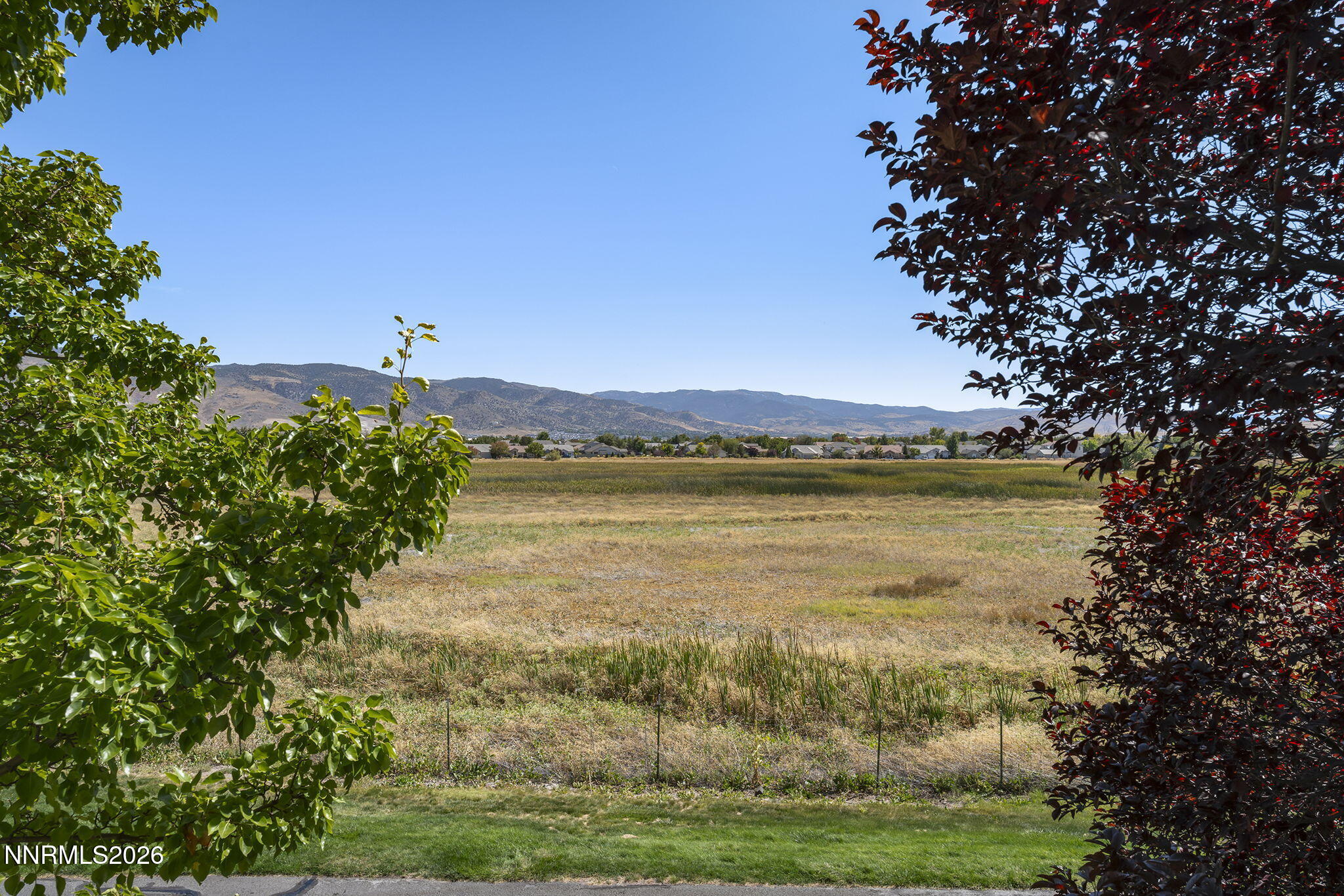 900 South Meadows Parkway, Unit 3721 Reno, NV 89521 - Photo 20 of 45 21-web-or-mls-_DSC1600