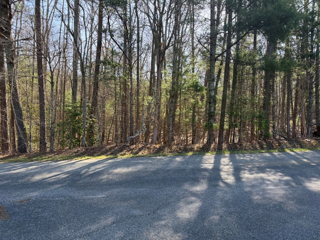 1156 Liberty Road Murphy, NC 28906 - Photo 3 of 7