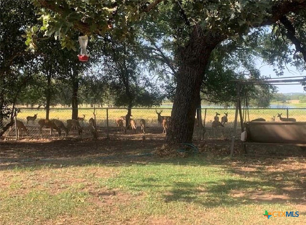 2411 Osage Road Gatesville, TX 76528 - Photo 28 of 29