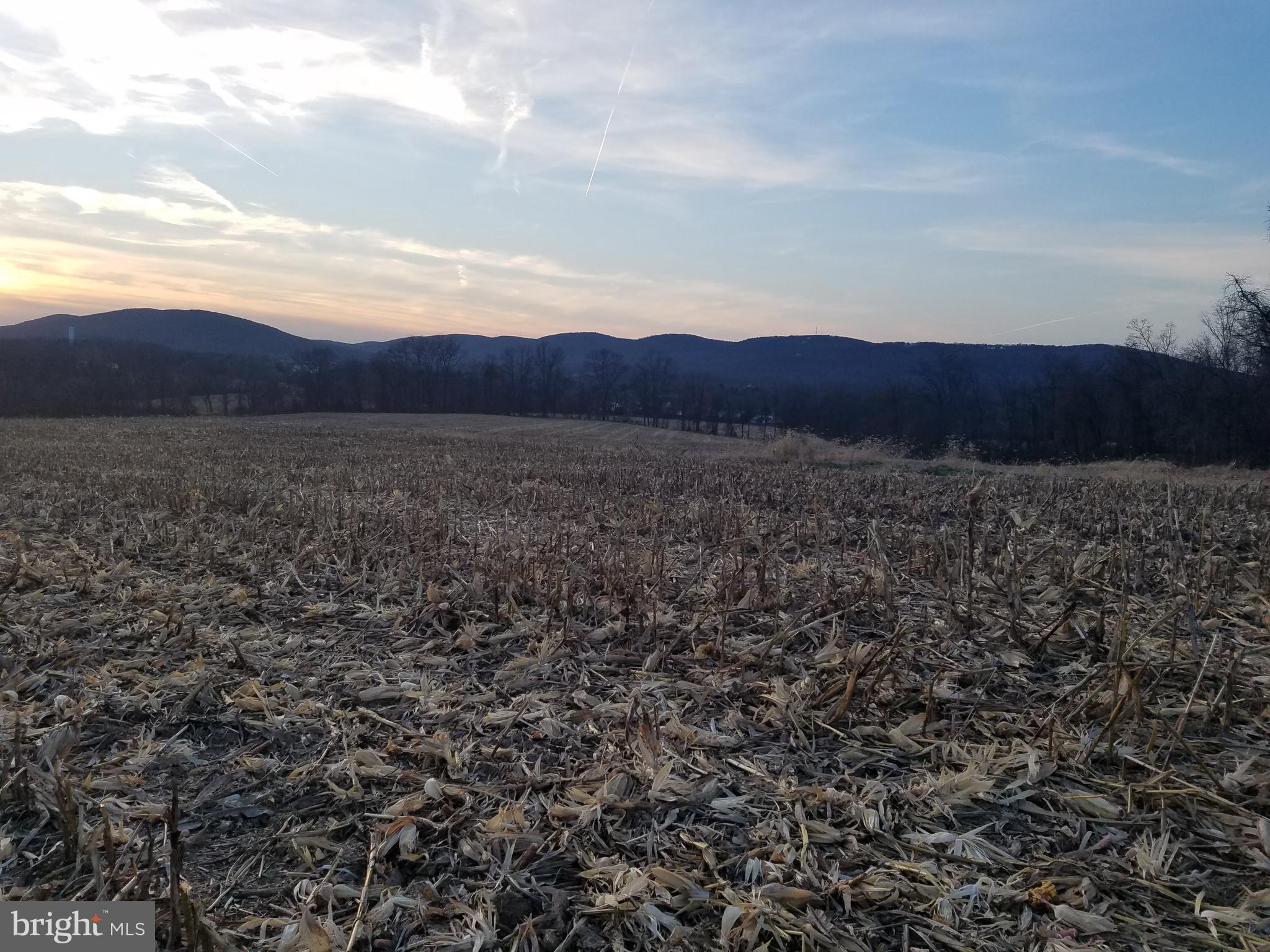 260 Ore Bank Road Dillsburg, PA 17019 - Photo 1 of 7 Gallery Image 1