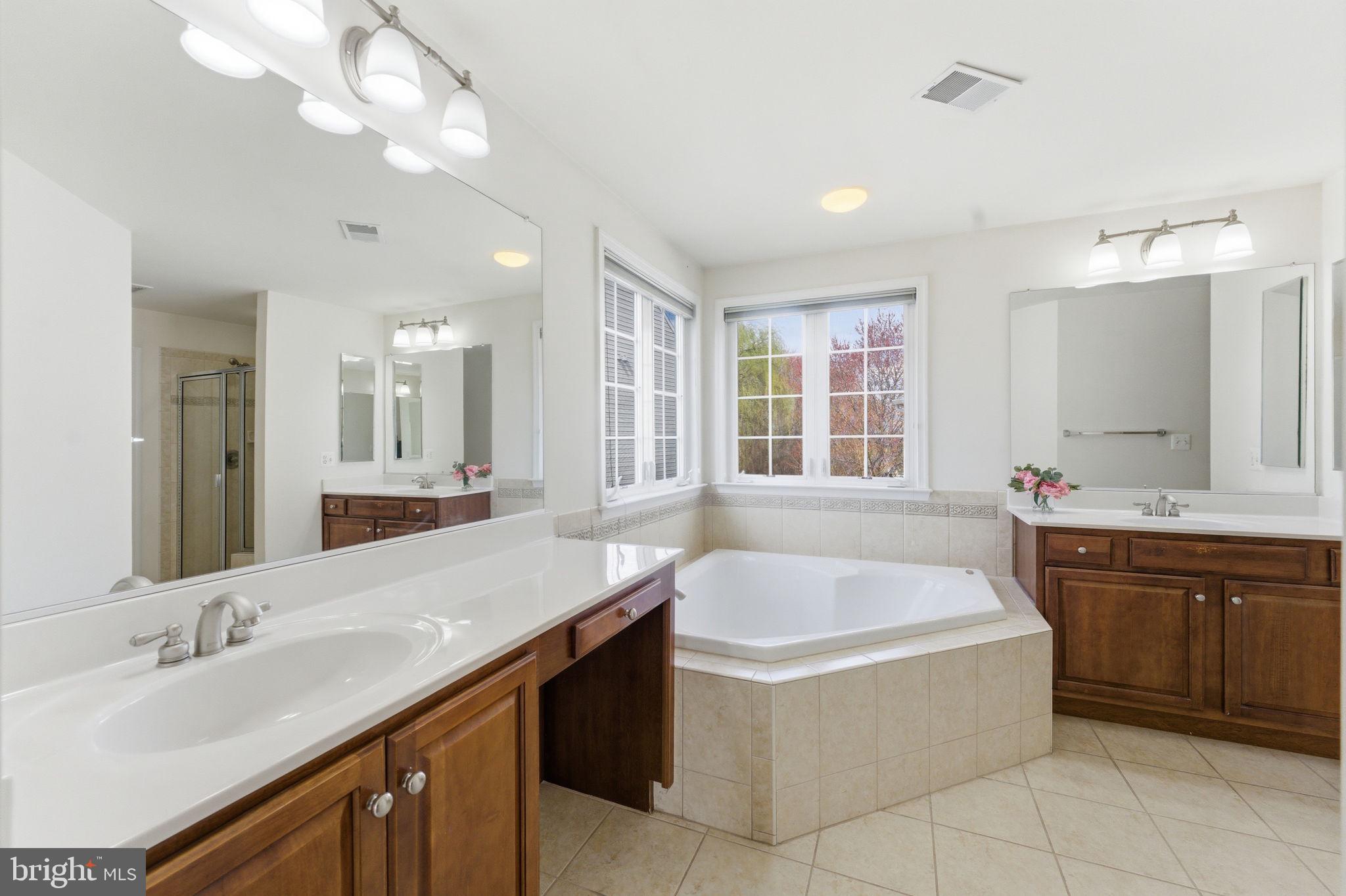 43358 Fullerton Street Ashburn, VA 20147 - Photo 36 of 54 a bathroom with a granite countertop bathtub sink and mirror