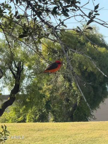 $625,000 | 1019 East Watson Drive, Tempe, AZ 85283