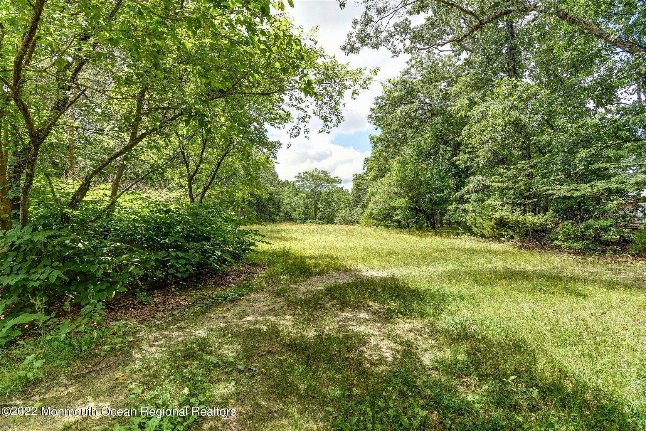 1350 Toms River Road Jackson, NJ 08527 - Photo 11 of 20 a view of outdoor space and yard