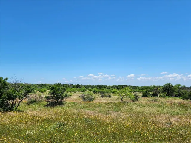 a view of a lake from a yard