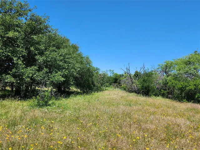 a view of backyard with green space