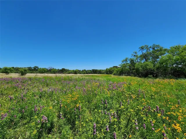 a view of a lake and green valley