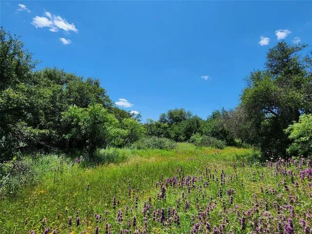 a view of a lush green space