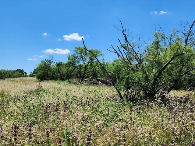 a view of a yard with a tree