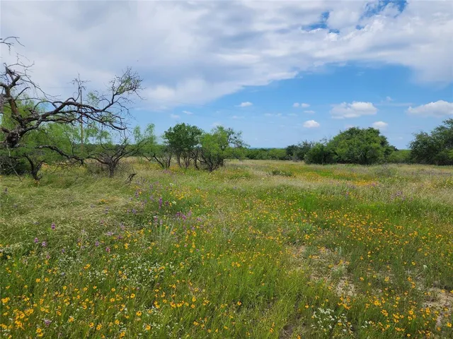 a view of a field with an trees