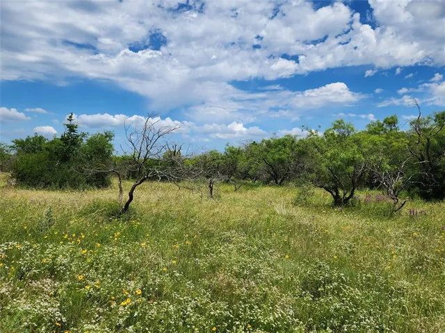 a view of a lake with a yard