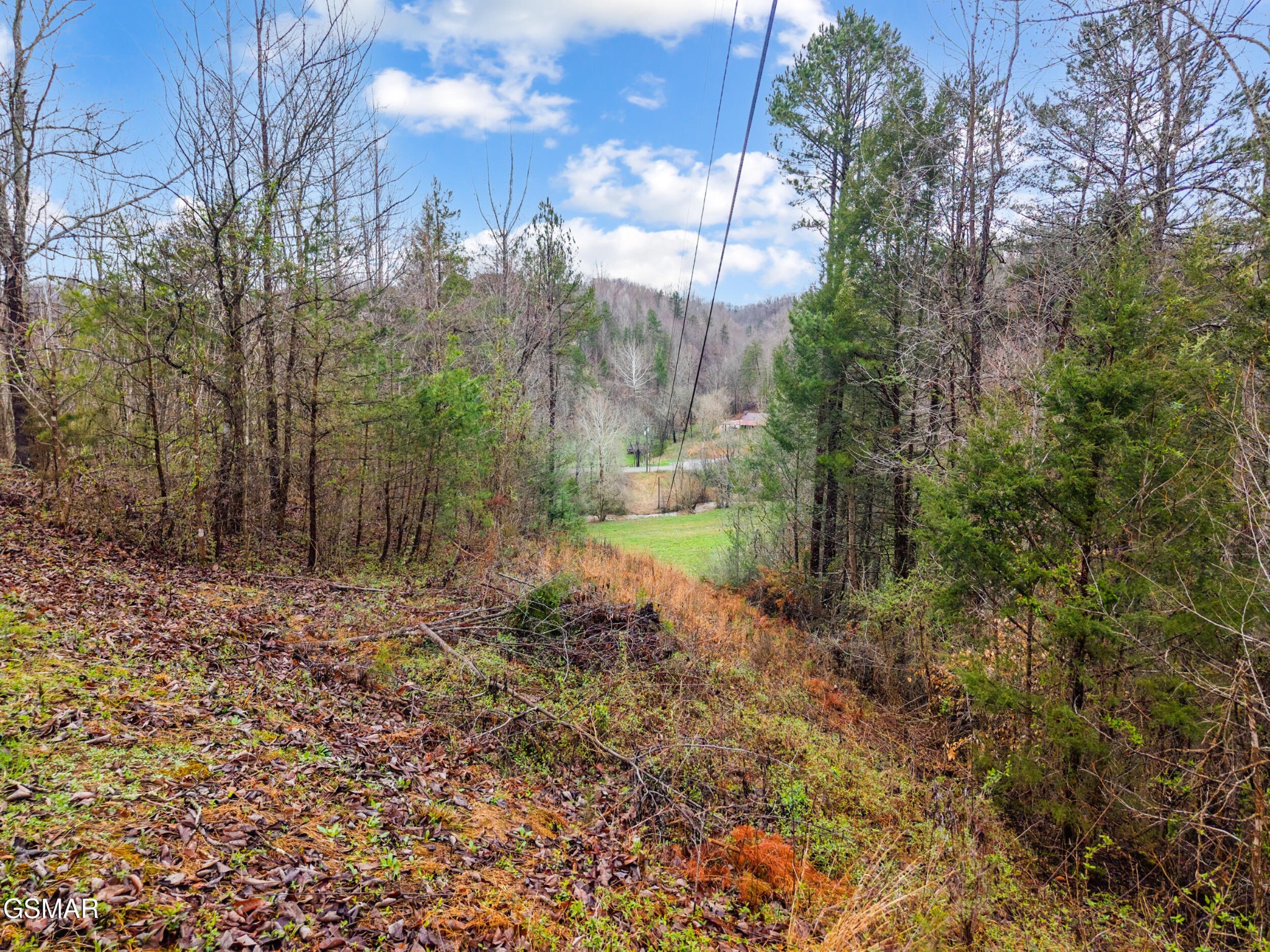 2 Dripping Springs Road Seymour, TN 37865 - Photo 17 of 22 Gallery Image 17