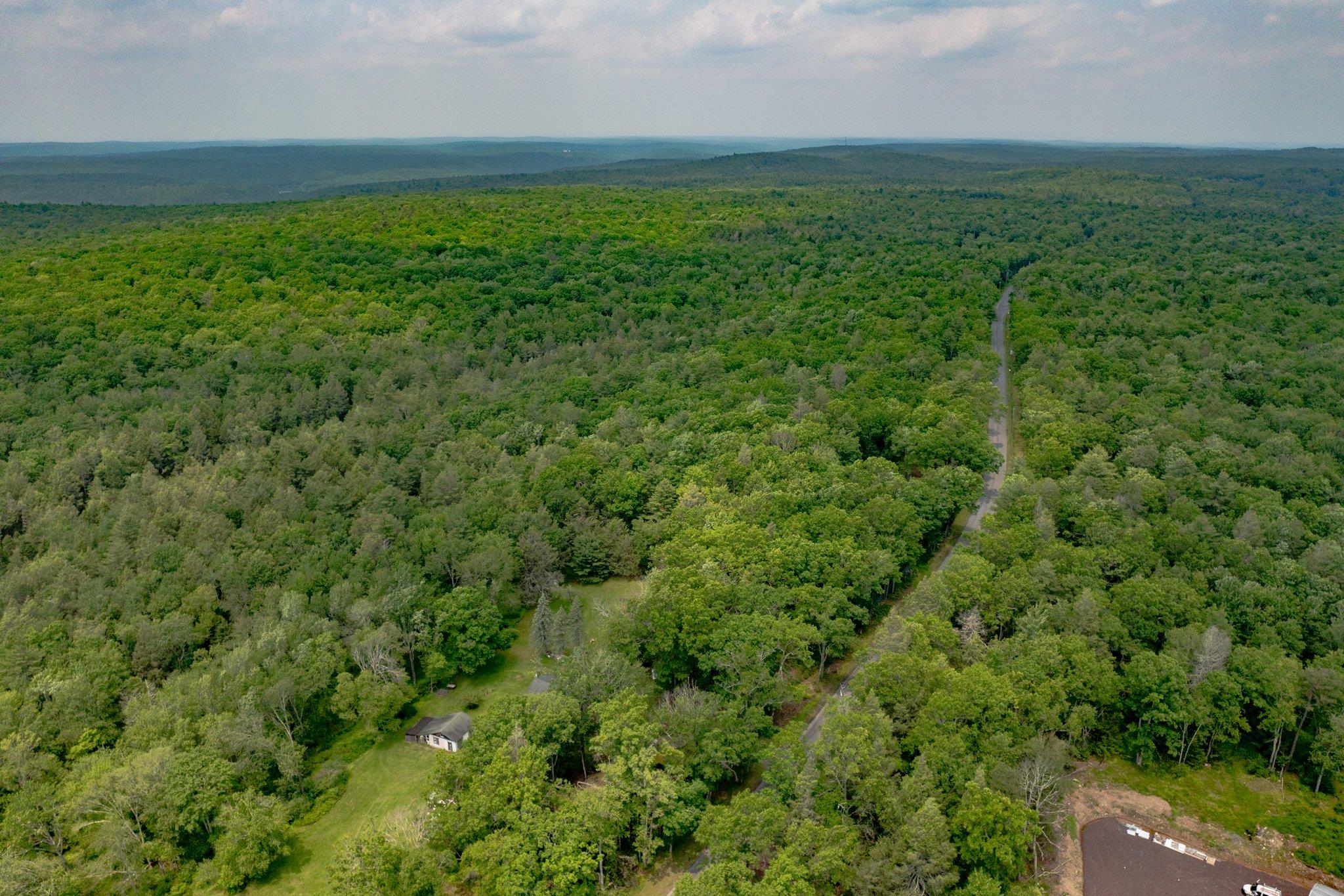 251 Haring Road Barryville, NY 12719 - Photo 22 of 30 Bird's eye view of a heavily wooded area