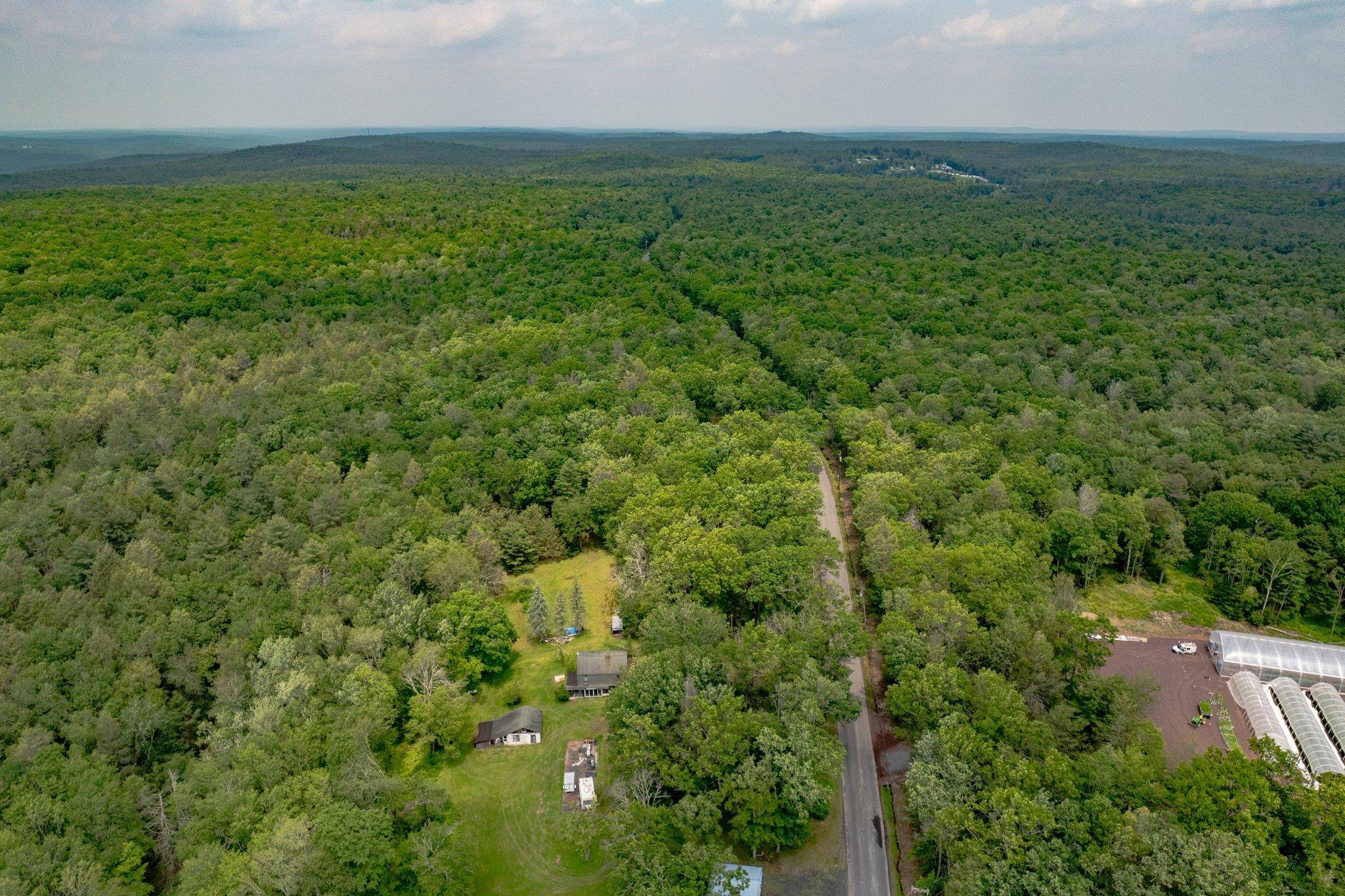 251 Haring Road Barryville, NY 12719 - Photo 23 of 30 Bird's eye view of a heavily wooded area