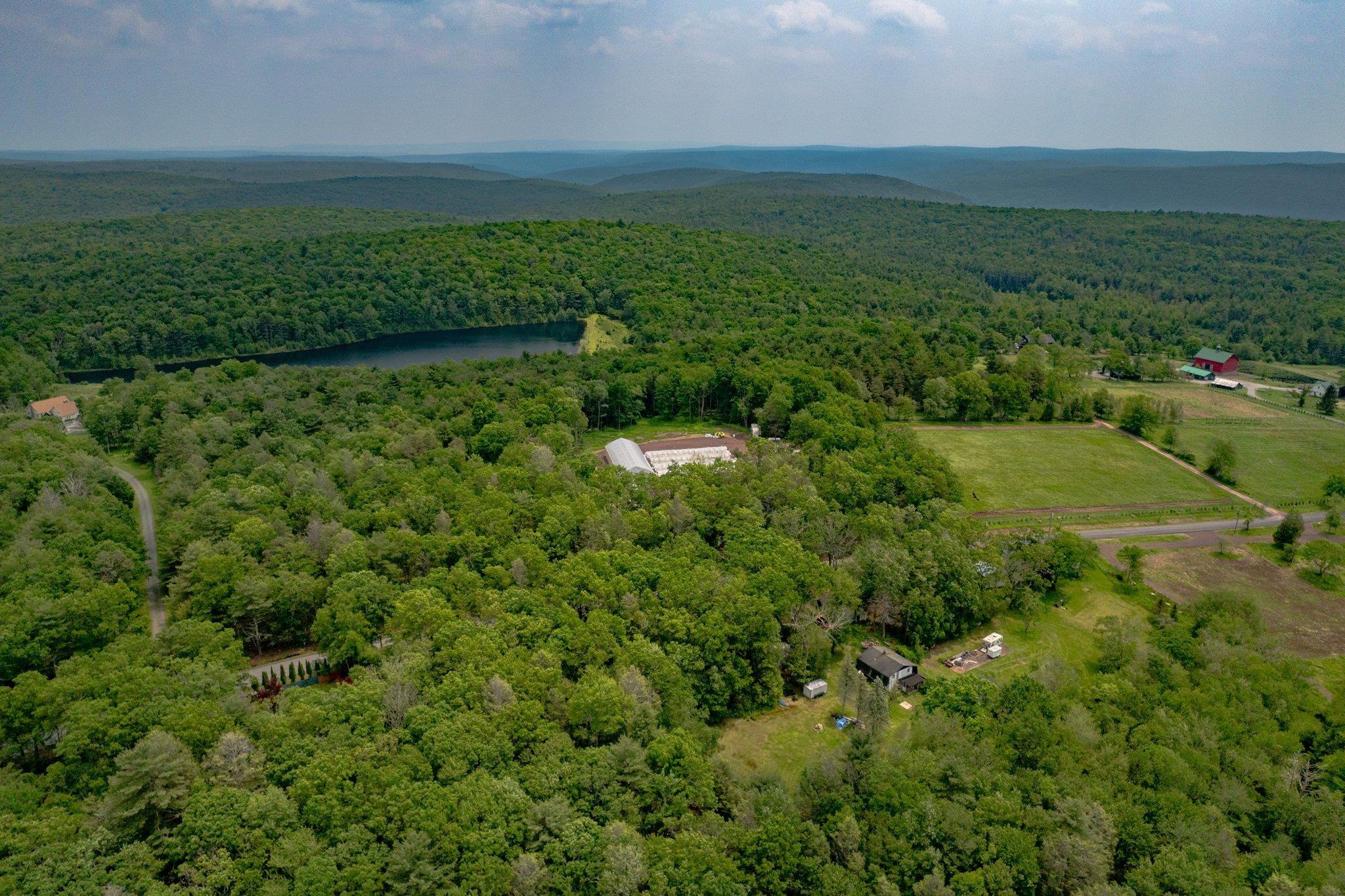 251 Haring Road Barryville, NY 12719 - Photo 26 of 30 Aerial view of property's location with a forest and a large body of water