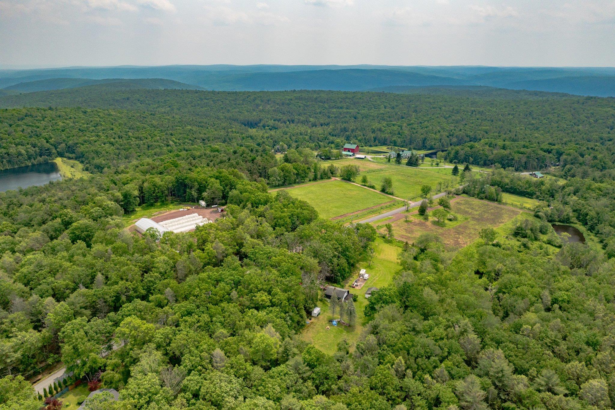 251 Haring Road Barryville, NY 12719 - Photo 27 of 30 Drone / aerial view of a heavily wooded area