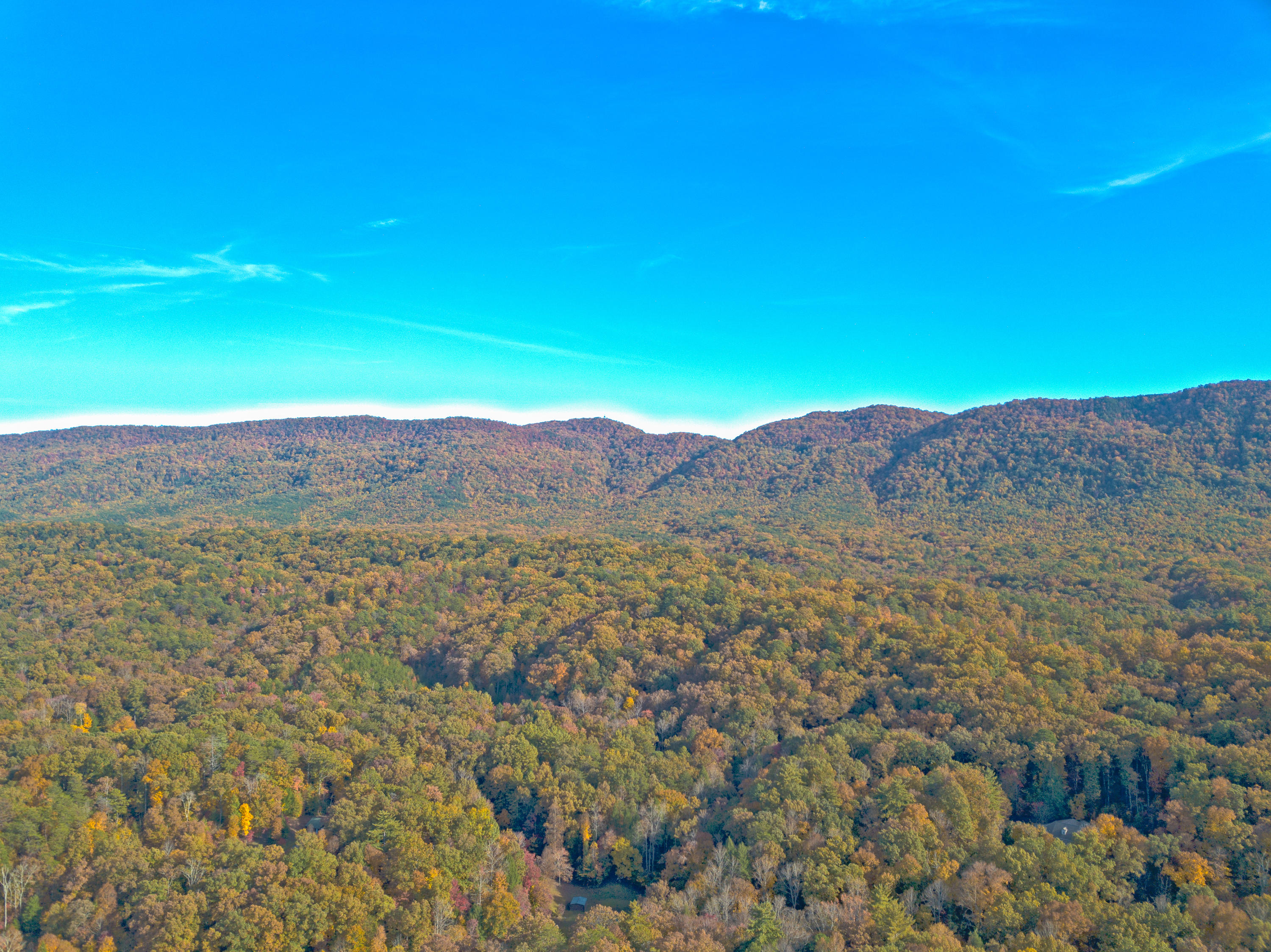 Jericho Road Maryville, TN 37803 - Photo 14 of 26 Surrounding Area (10)