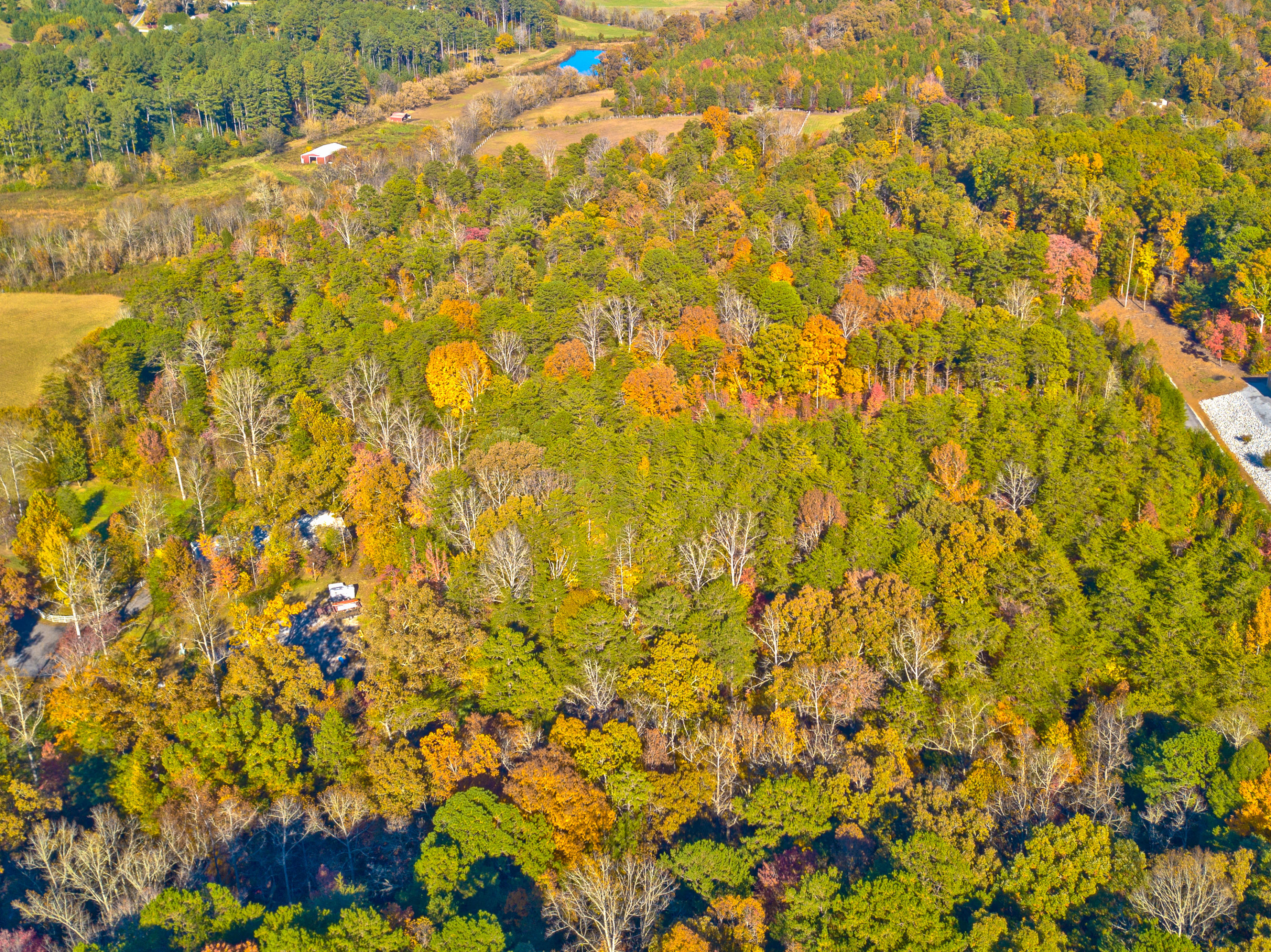 Jericho Road Maryville, TN 37803 - Photo 22 of 26 Untitled_HDR13