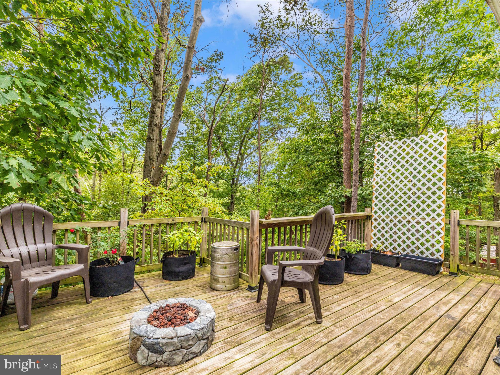 3045 Flint Hill Road Adamstown, MD 21710 - Photo 14 of 41 Exterior Deck