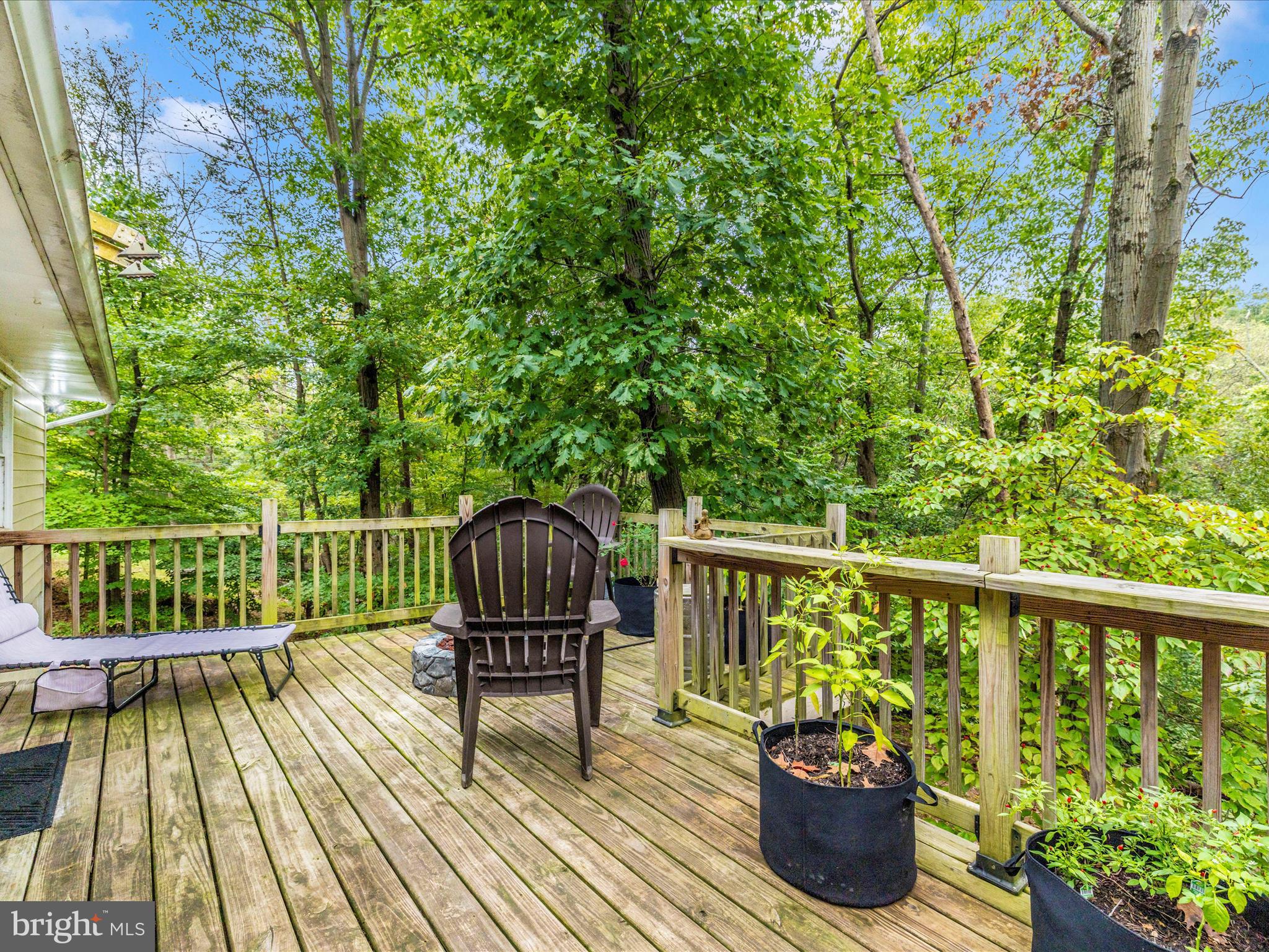 3045 Flint Hill Road Adamstown, MD 21710 - Photo 15 of 41 Exterior Deck