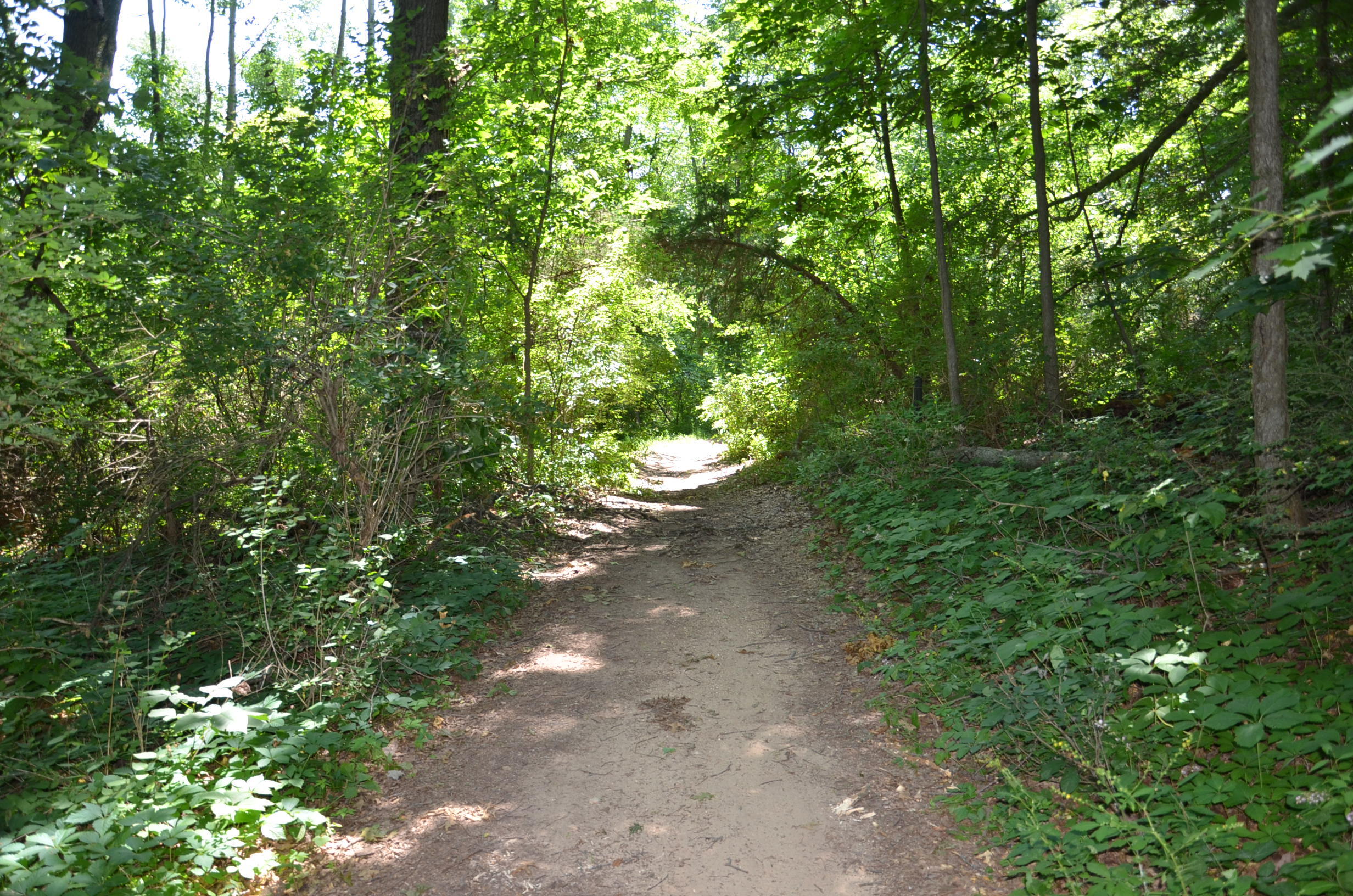 North Payne Lake Road Middleville, MI 49333 - Photo 33 of 42 DSC_6215